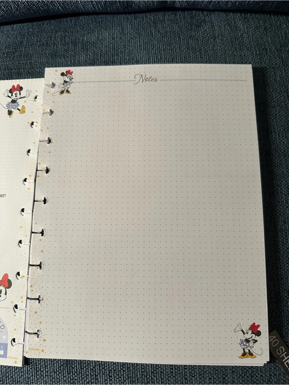 Disney Happy Planner happy planner